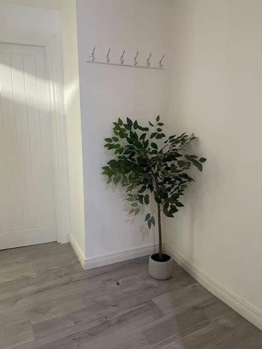 Modern 1-Bed Apartment Belfast Ngoại thất bức ảnh