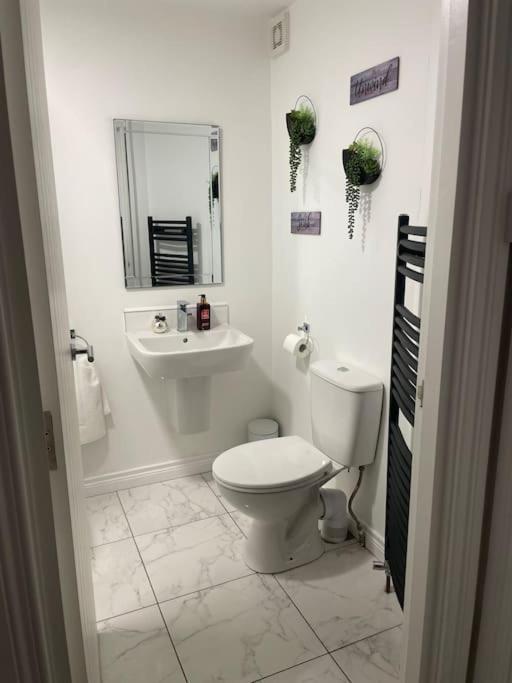 Modern 1-Bed Apartment Belfast Ngoại thất bức ảnh
