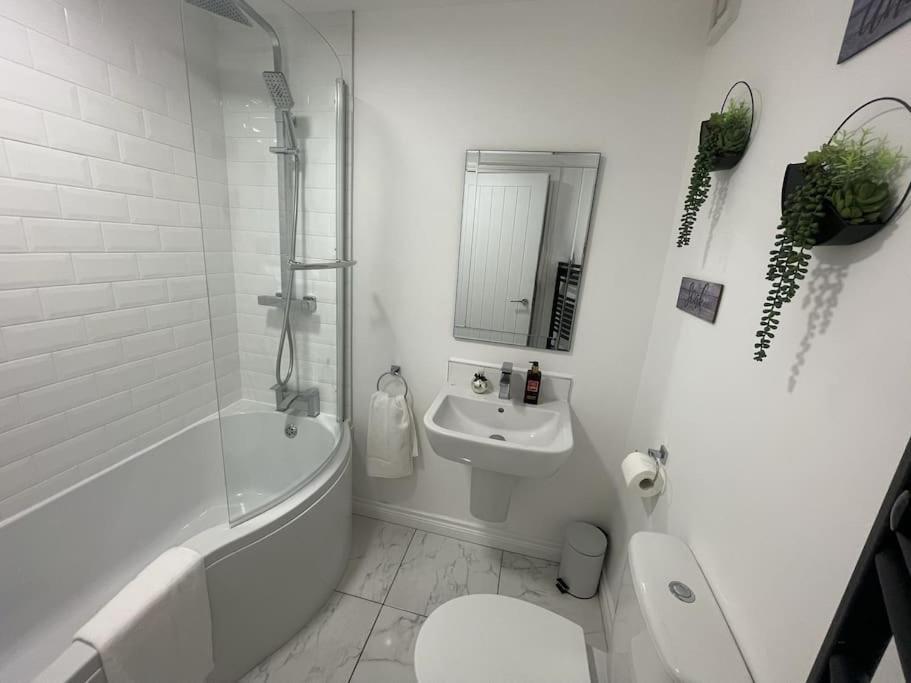Modern 1-Bed Apartment Belfast Ngoại thất bức ảnh